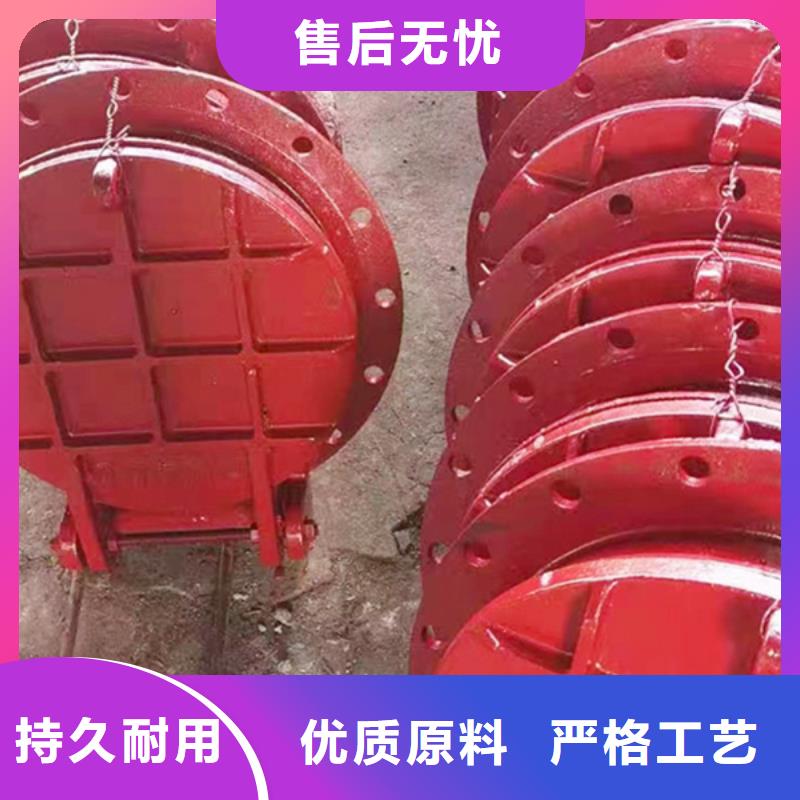 雙開門式拍門節(jié)能型拍門節(jié)能