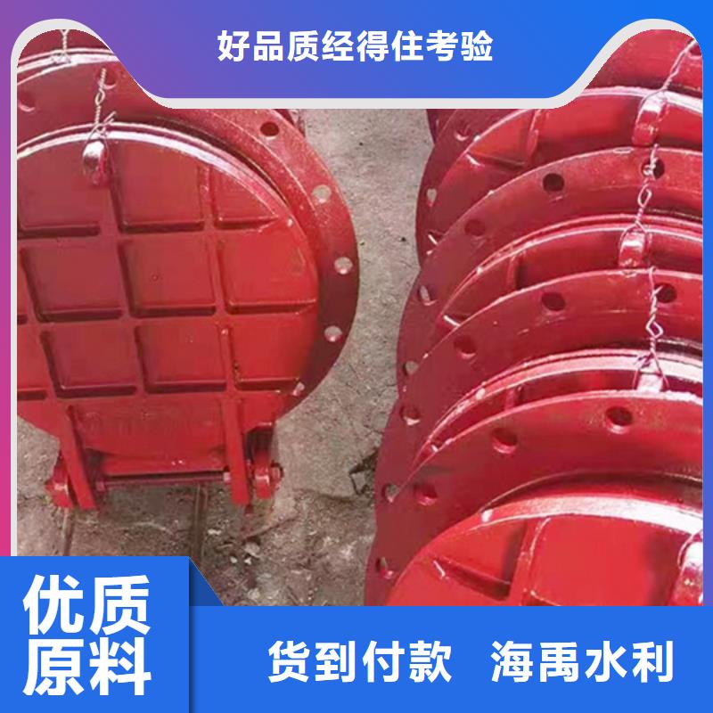 玻璃鋼拍門(mén)拍門(mén)廠家批量現(xiàn)貨