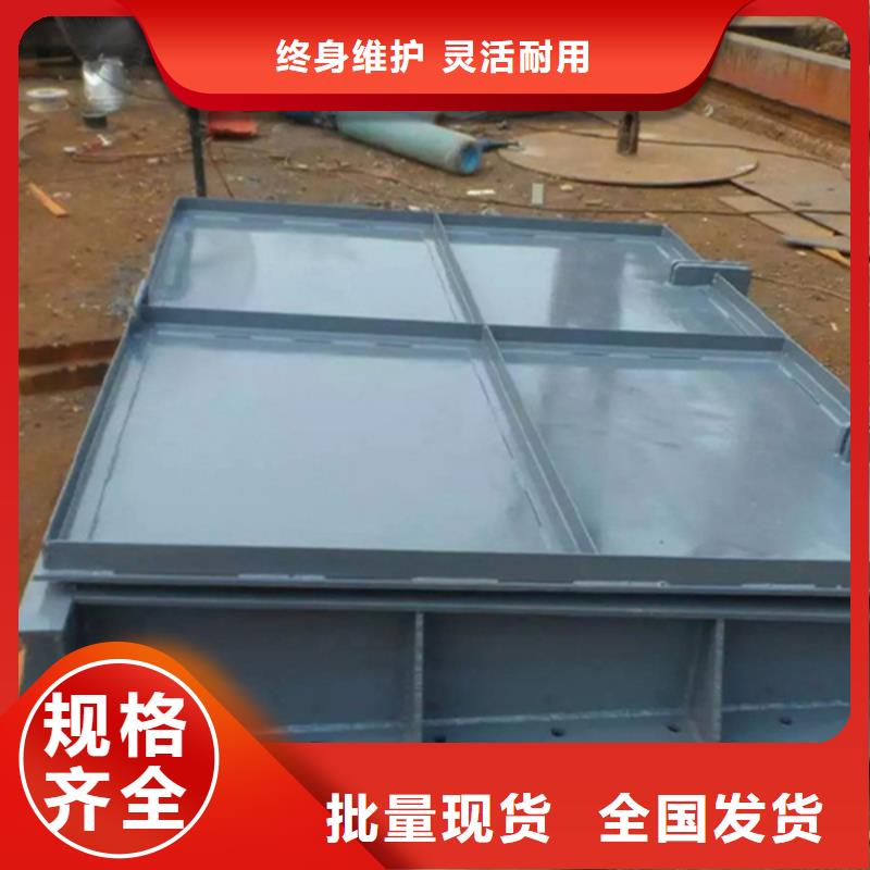 鋼制拍門拍門廠家實(shí)力大廠