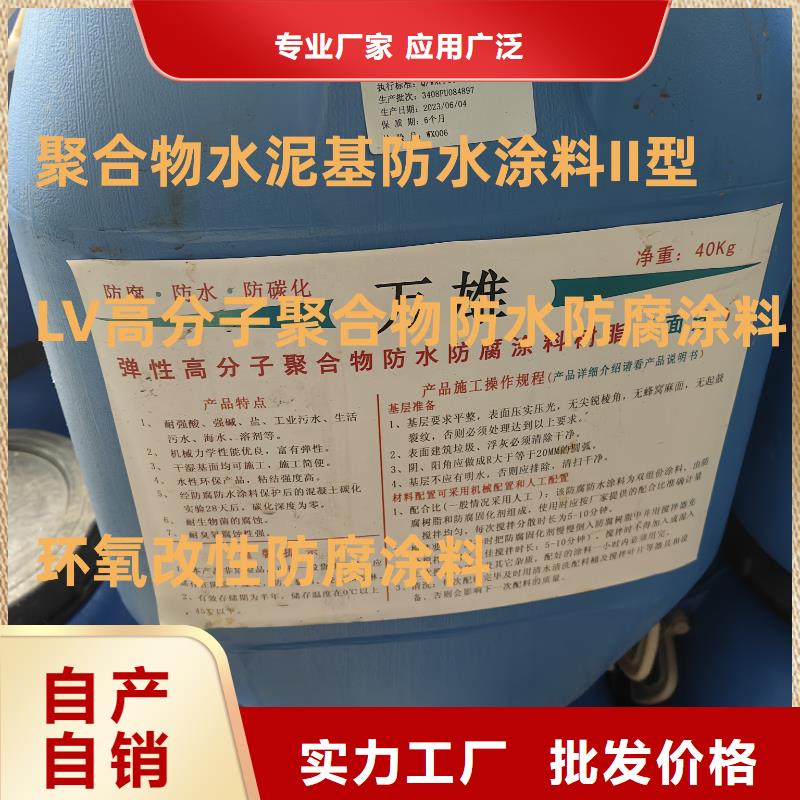 RLFA水性聚乙烯防腐涂料（污水厂）符合行业标准自产自销CSPA复合防腐防水涂料