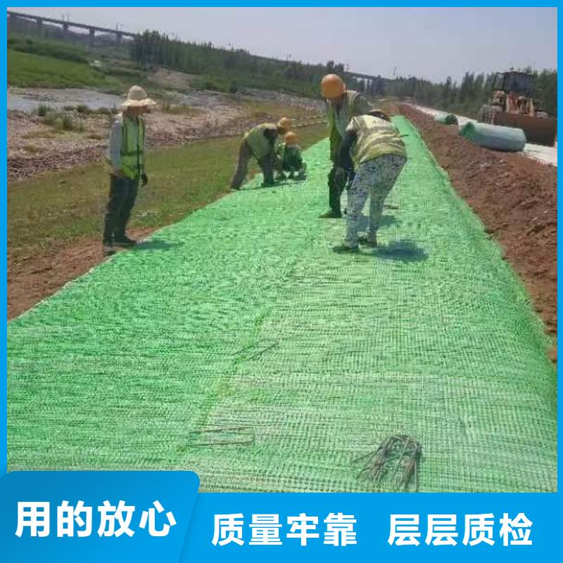 护坡河道防冲毯厂家直营