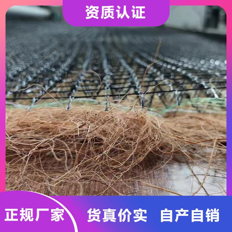 护坡河道防冲毯厂家直营