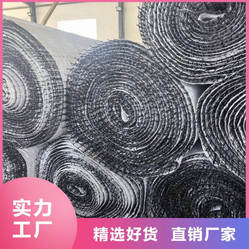 护坡河道防冲毯厂家直营