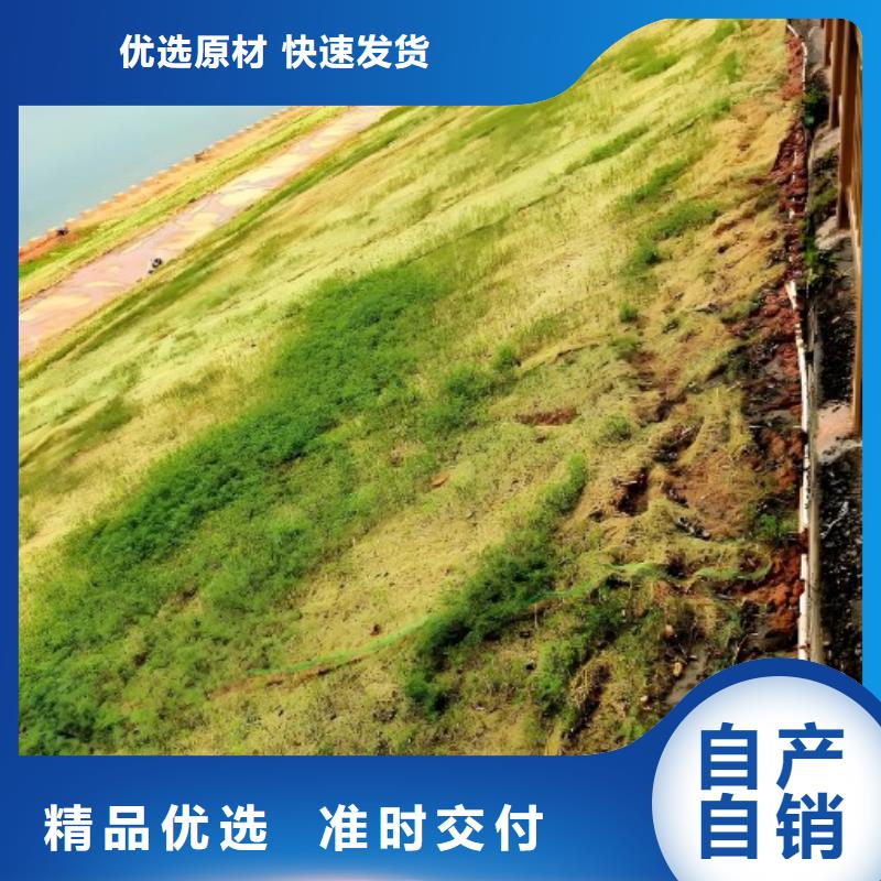 高速养护稻草毯源头厂源头货