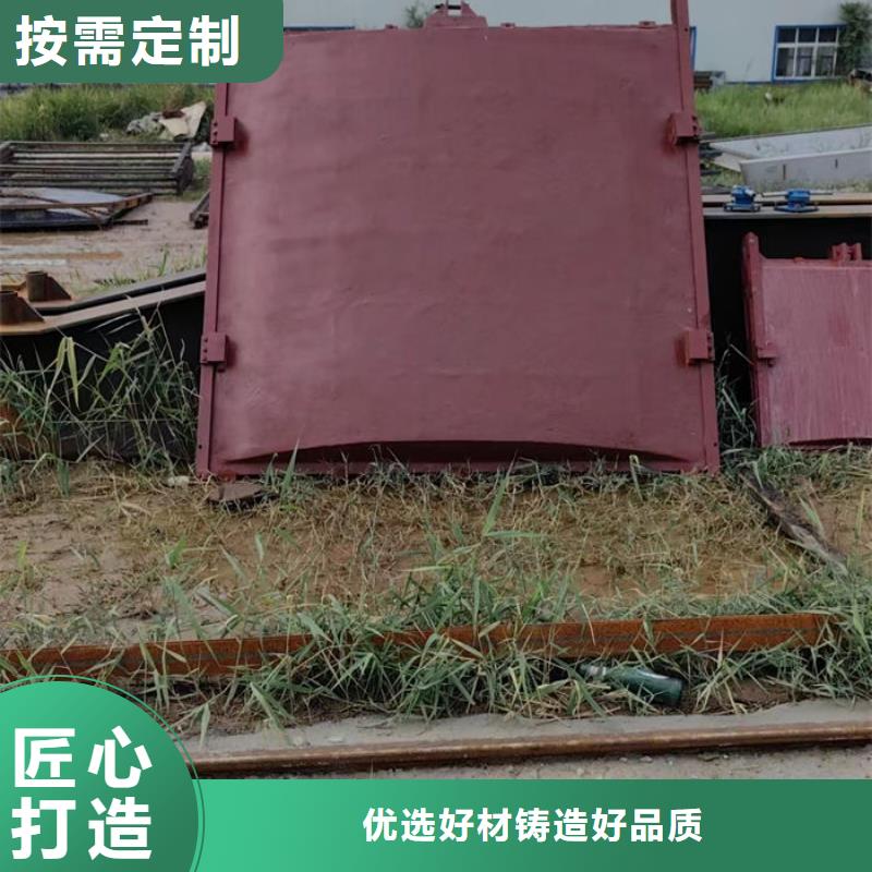 双向铸铁闸门型号齐全