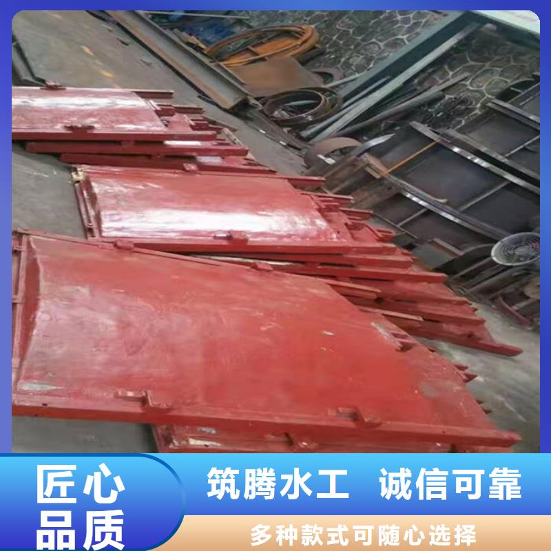 鑄鐵鑲銅閘門誠信為本
