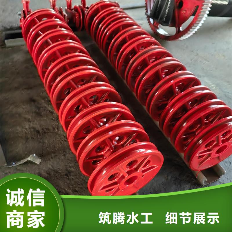 卷扬式启闭机单吊点卷扬式启闭机专心专注专业