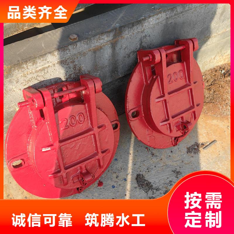 拍门-自动节能型拍门可零售可批发