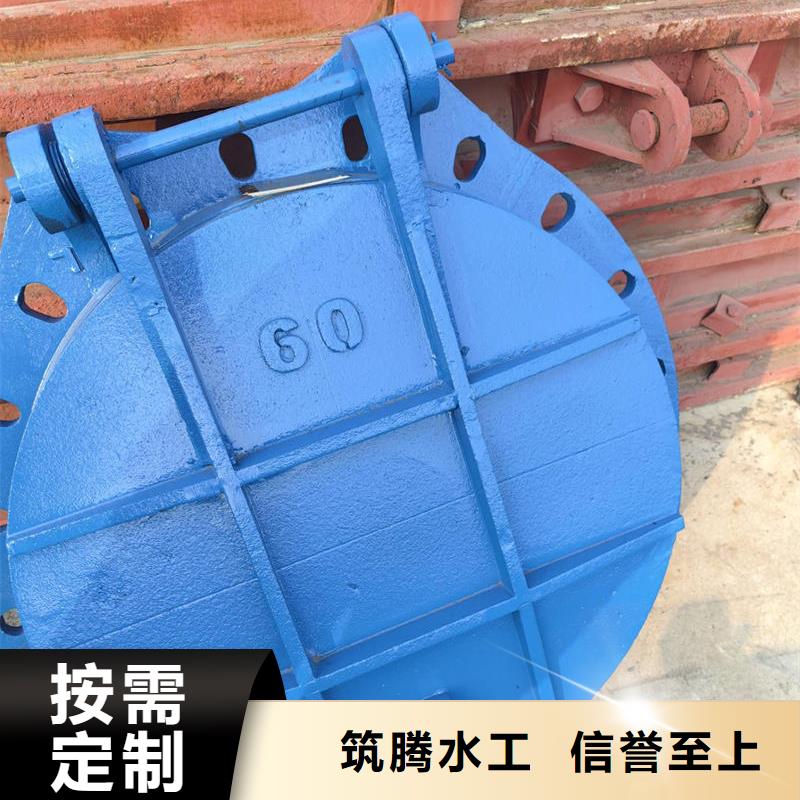 拍门节能型侧翻式拍门规格齐全