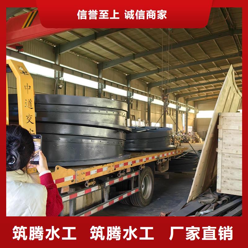 拍门-自动节能型拍门可零售可批发