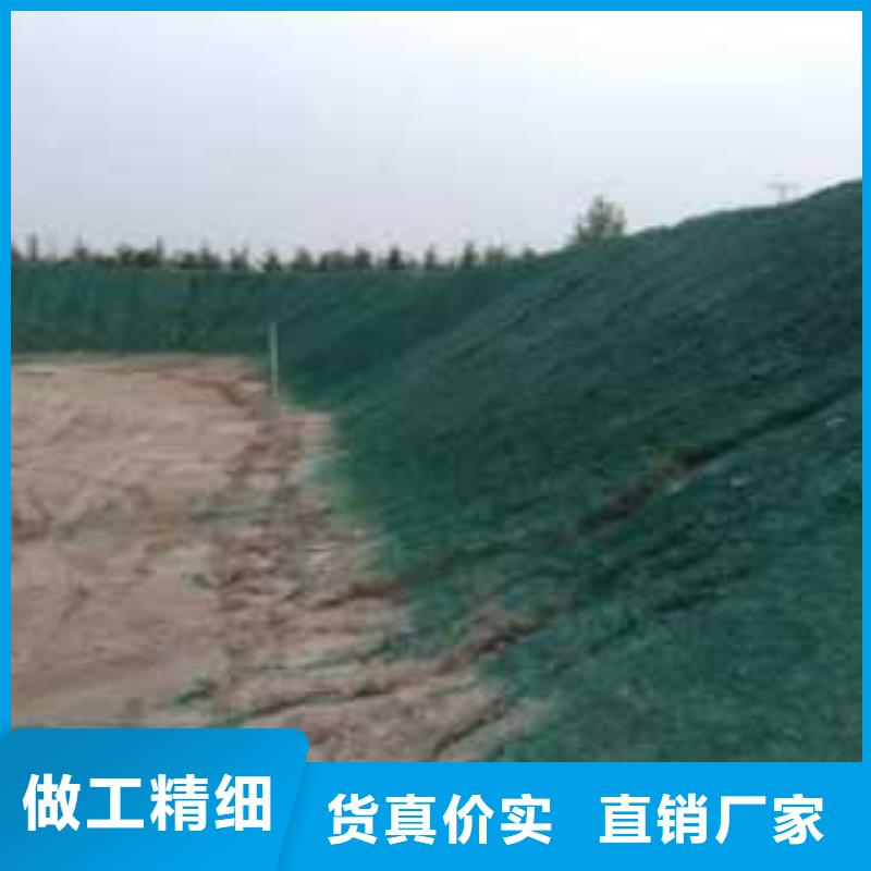 火車(chē)運(yùn)煤結(jié)殼抑塵劑今日
