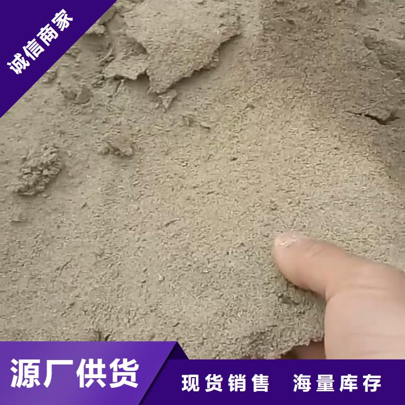 道路生物型降尘剂厂家